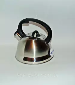 Чайник из нержавеющей стали 2.5л WK-1316